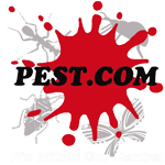 pestlogo-white