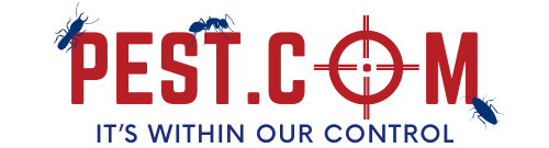 cropped-cropped-cropped-cropped-cropped-new-logo-white-bg-1-1-3.png